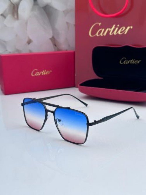 CARTIE_R SUNGLAS