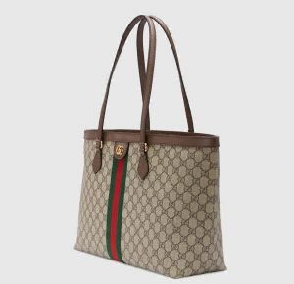 Gucci_GG_ophidia_Bag_in_Bag_Tote_Bag_5373