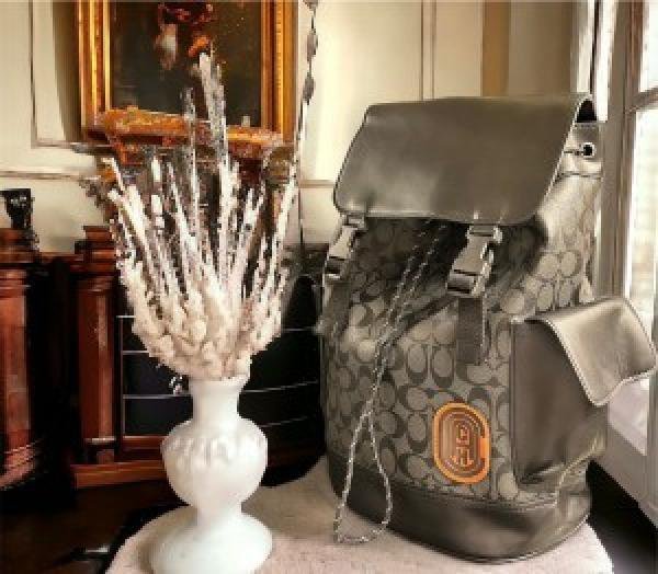 Coach_Hudson_Backpack_In_Blocked_Signature_Canvas1993