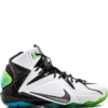 LeBron 12 All Star
