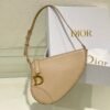 Christian Dior CD Saddle Rodeo Bag Pouch With OG Box & Dust Bag (379 Apricot)