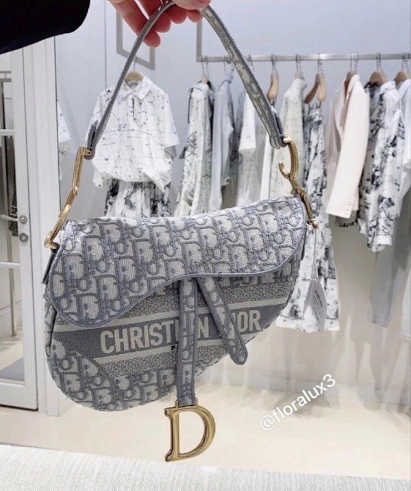 Dior_saddle gray colour premium quality with box