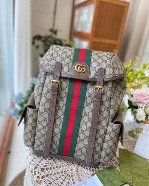 Gucci-ophidia-gg-back-pack-premium-quality-unisex-with-dust-bag-954