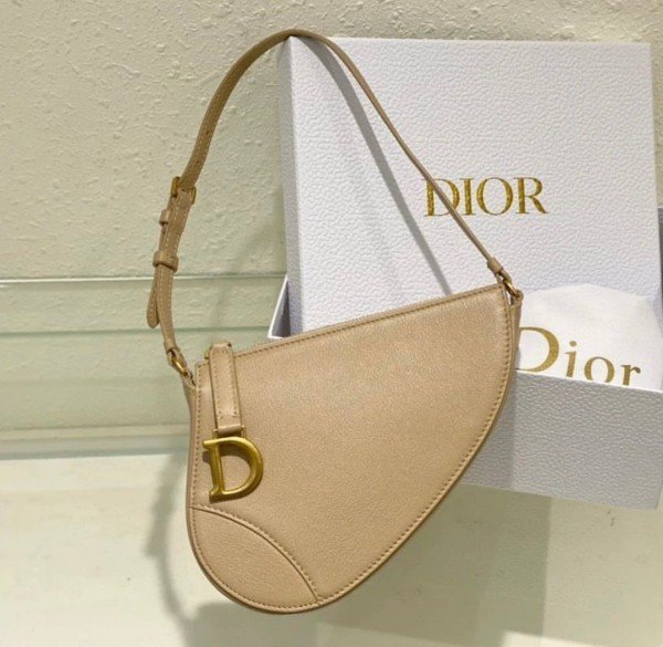 Christian_Dior_CD_Saddle_Rodeo_Bag_Pouch_With_OG_Box_&_Dust_Bag_(379_Apricot)