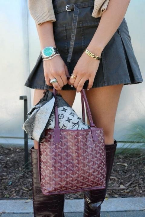 Goyard_anjou_mini_totebag_with_wallet_dustbag_etc