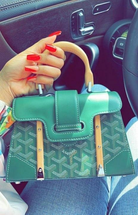 Goyard Saigon Structure Mini Hand Shoulder Bag